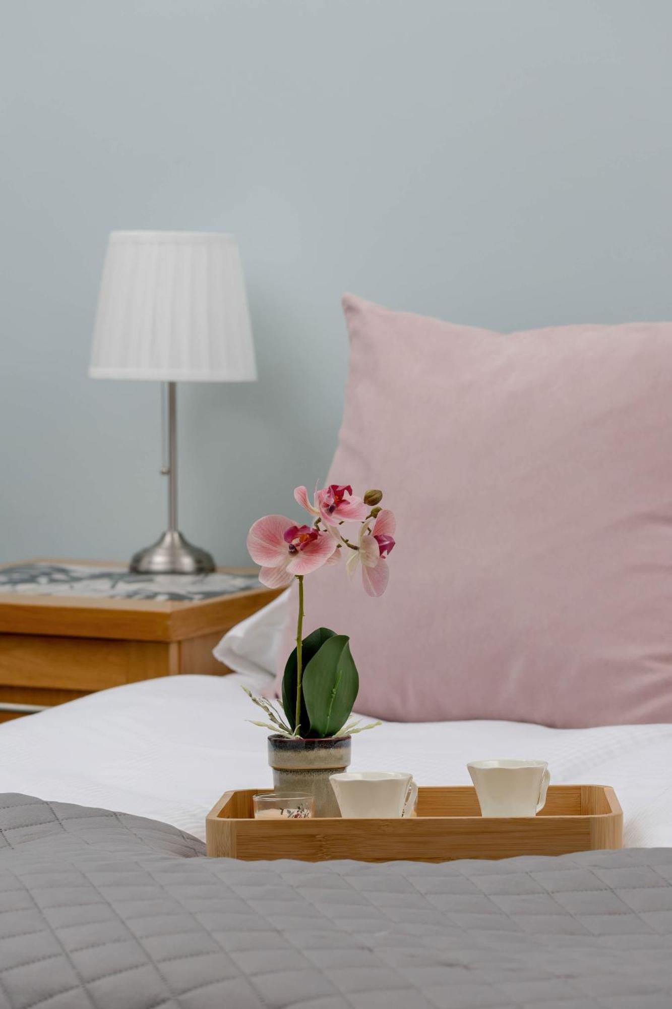 Charming With Desk In Downtown Cracow By Renters *